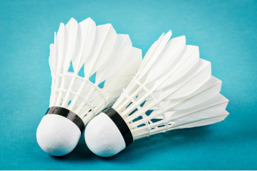 Badminton