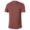 Mizuno Short Sleeve Tee Herre - Copper Brown
